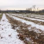 JPIC - Farm Focus